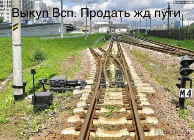 By  e, e,  yo  Ca-eppe