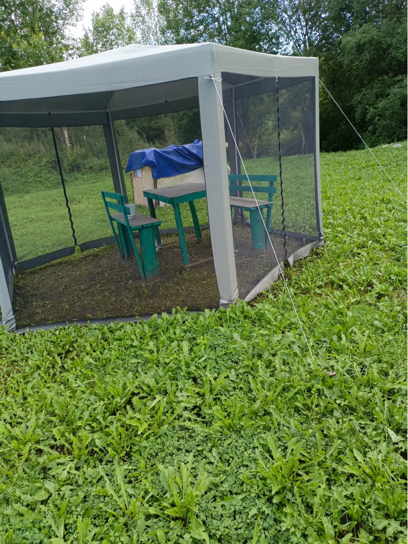    10,